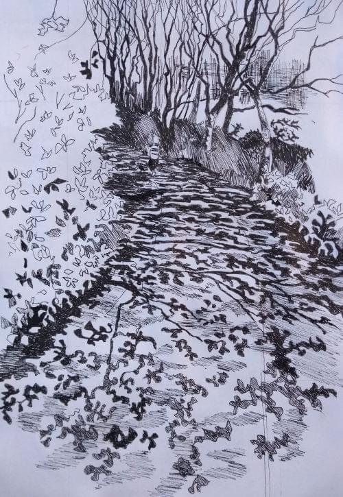 Welcome to Dinah Hewson Art